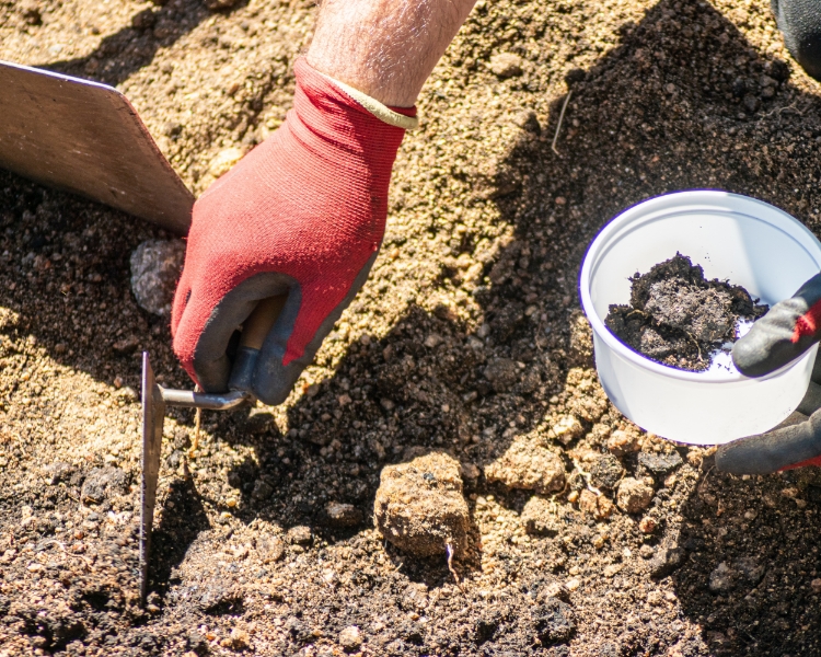 Archaeological Excavation