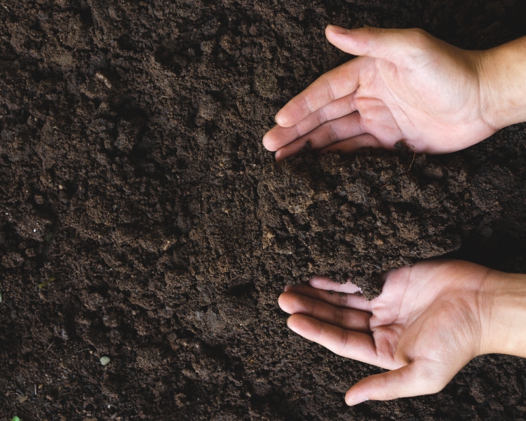 soil-treatment