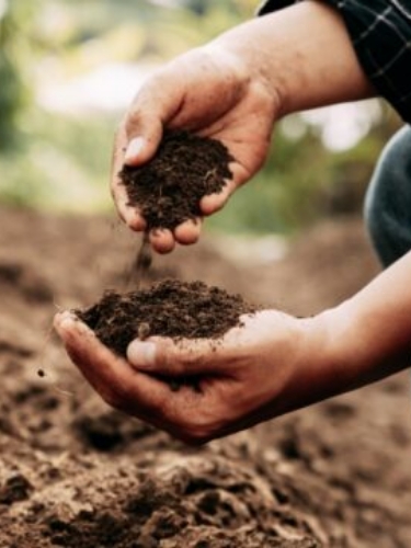 soil-treatment